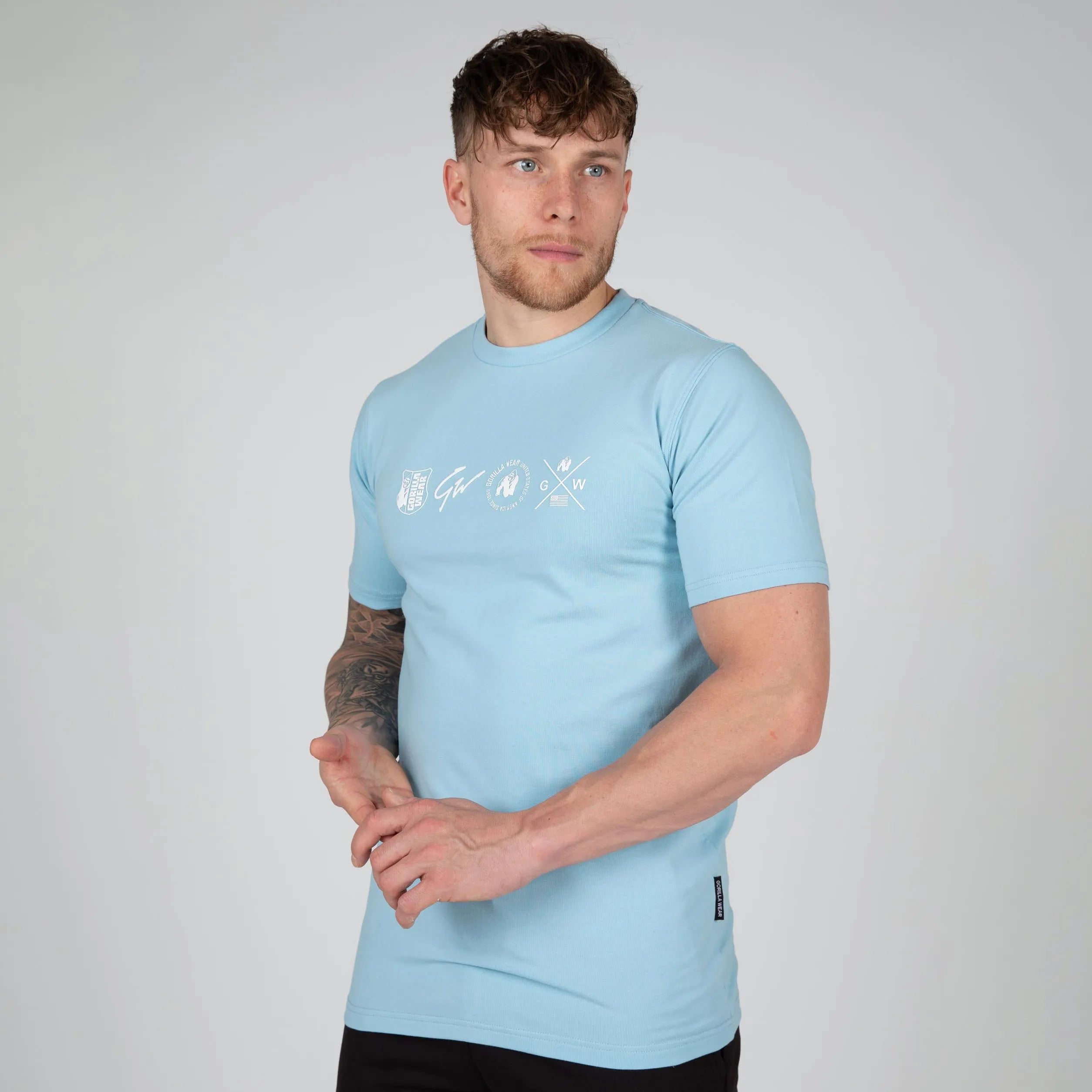 Gorilla Wear Swanton T-shirt, blå