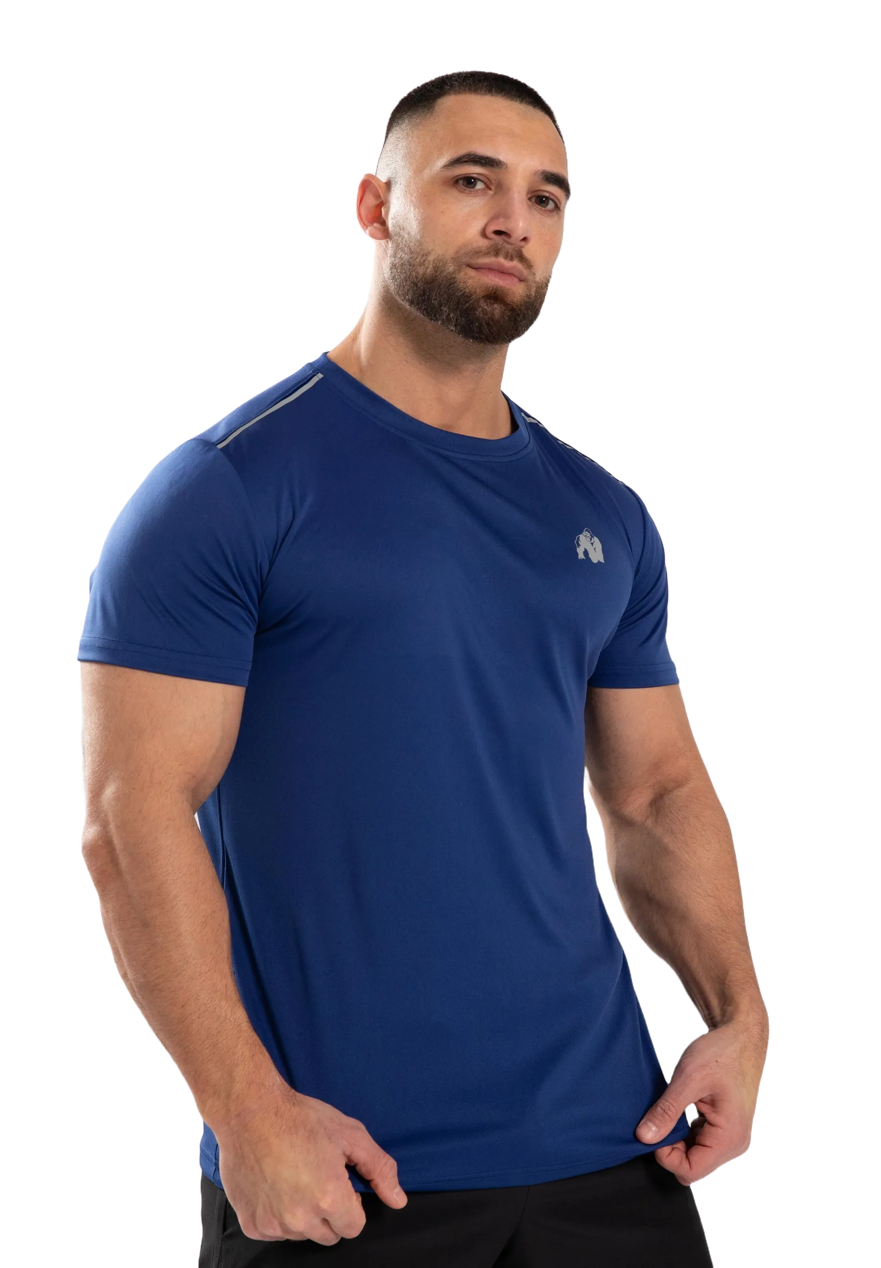Gorilla Wear Easton T-shirt, blå
