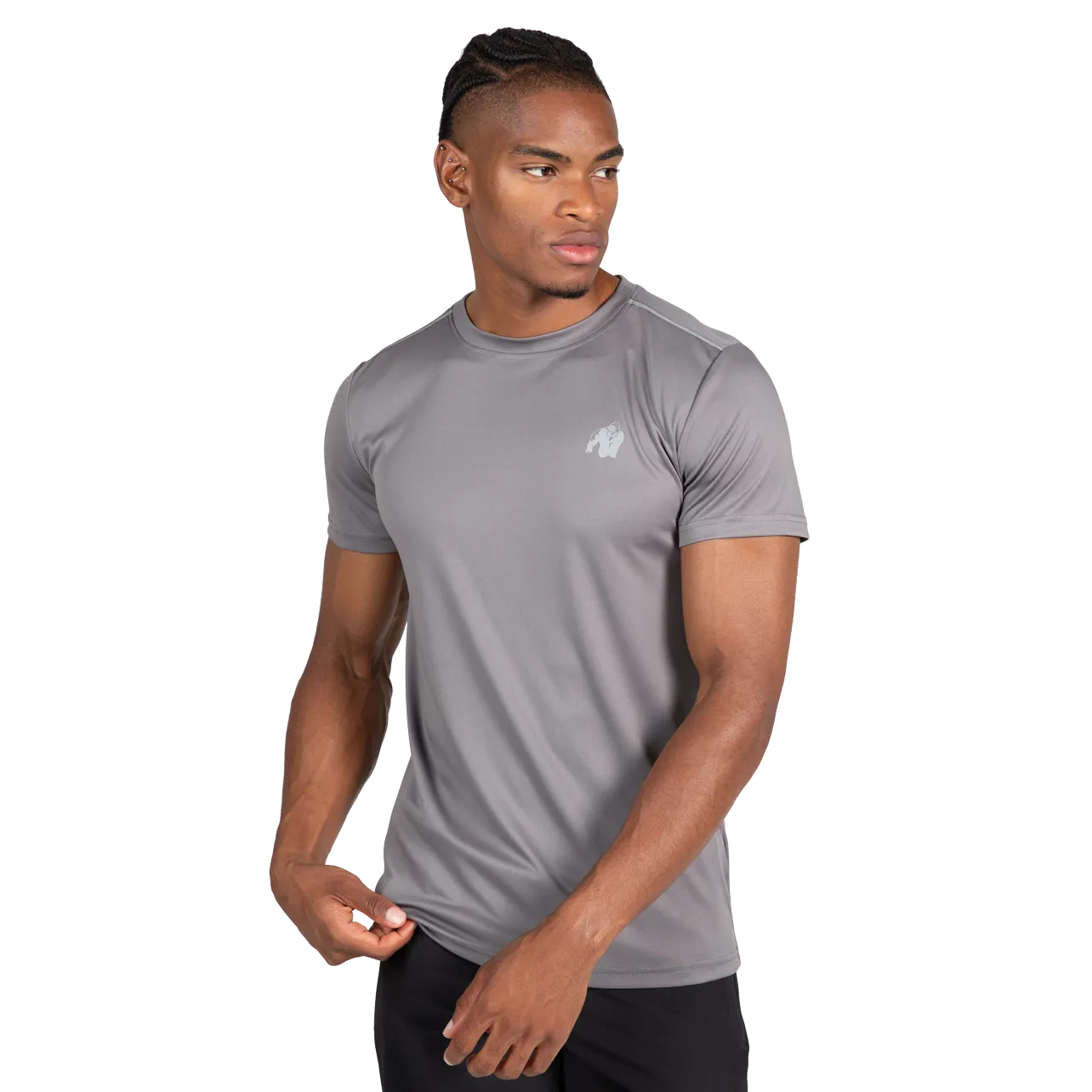 Gorilla Wear Easton T-shirt, grå