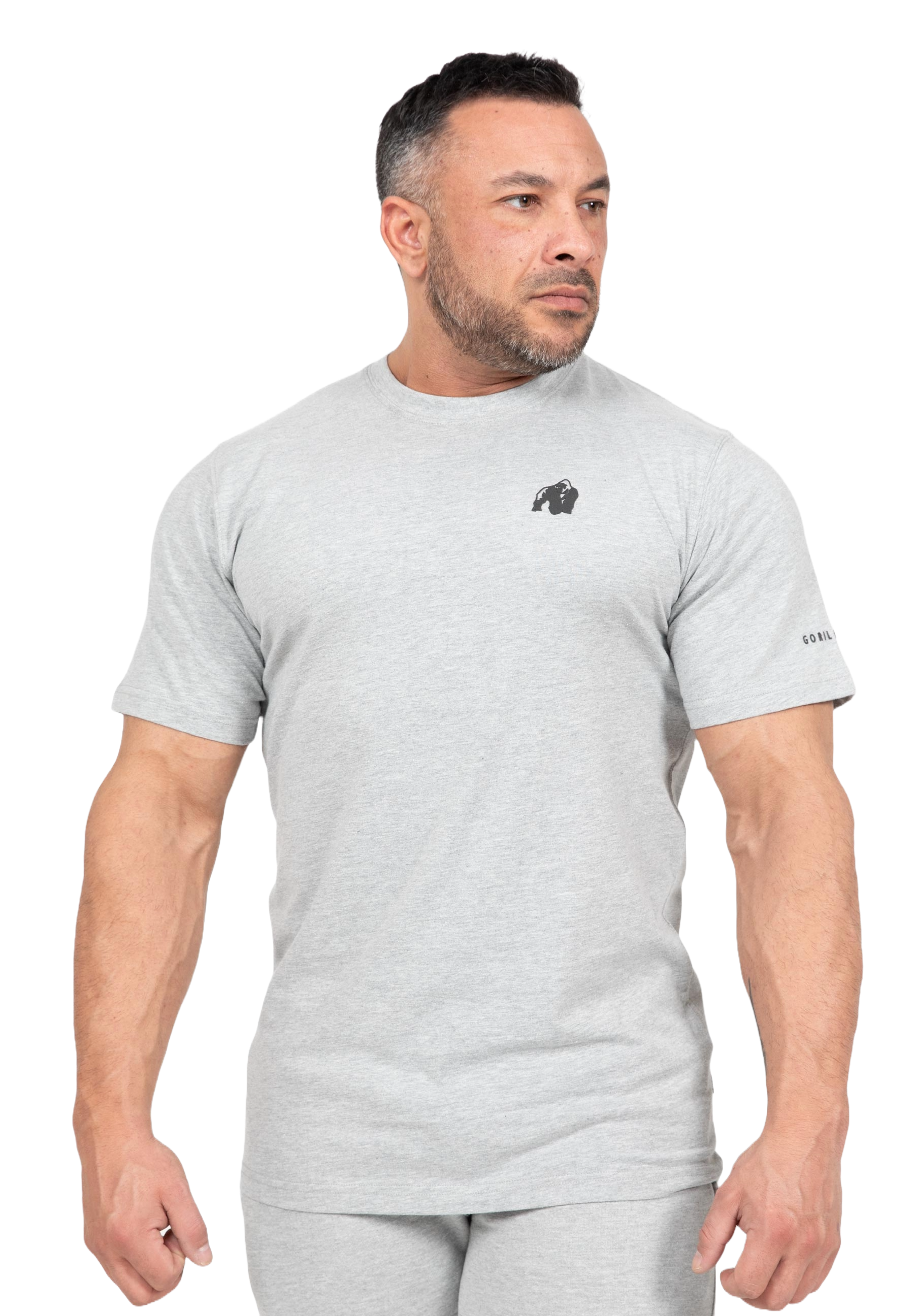 Gorilla Wear Leon T-shirt, grå